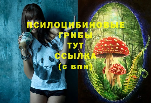 дживик Арсеньев