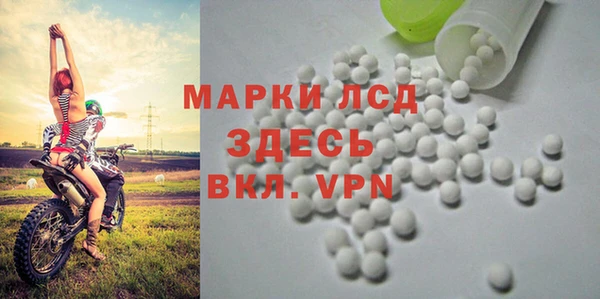молекула духа Аркадак