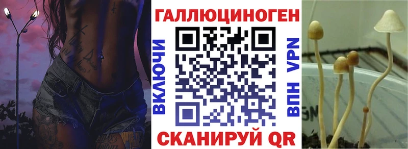 Псилоцибиновые грибы Magic Shrooms Судак